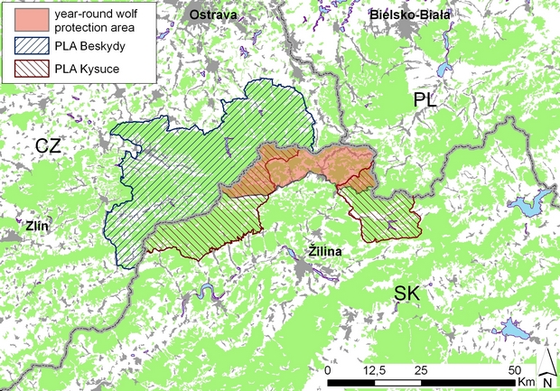 The map of areas where wolves are protected in Slovakia